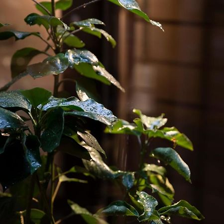 Kanazawa Machiya Kenroku Εξωτερικό φωτογραφία